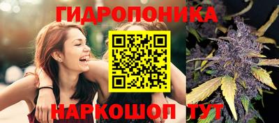 стаф Кулебаки