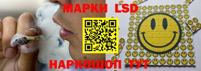 гидра Краснокаменск